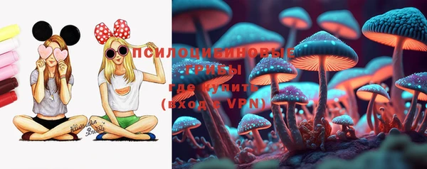 экстази Богородицк