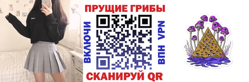Купить  Родники  Псилоцибиновые грибы Magic Shrooms 