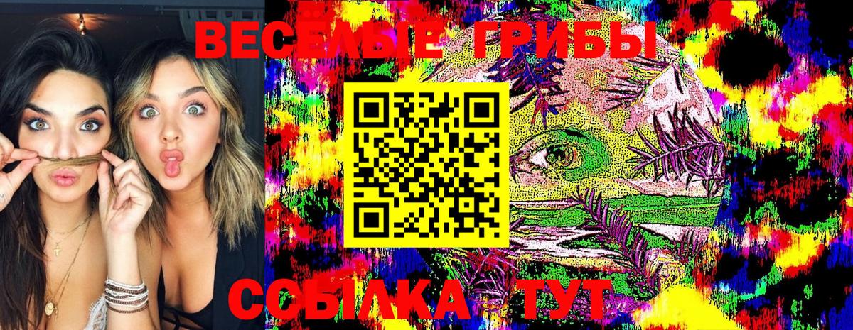 Псилоцибиновые грибы прущие грибы Родники