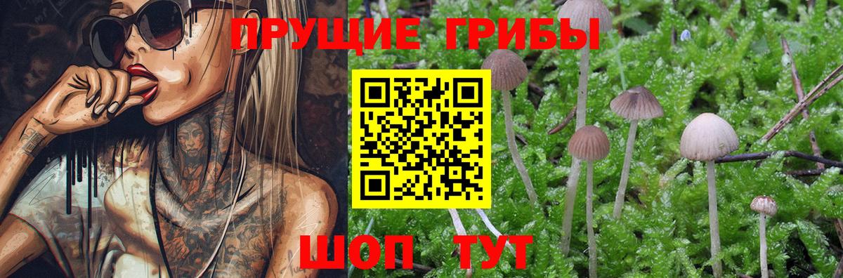 Псилоцибиновые грибы Magic Shrooms  Галлюциногенные грибы прущие грибы  Вход с VPN  Родники 