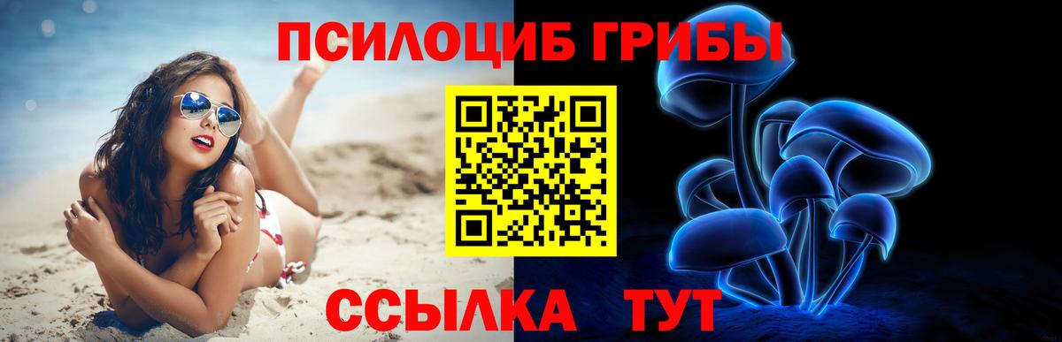 Псилоцибиновые грибы Psilocybe Родники